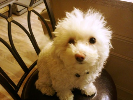 Colby on chair.