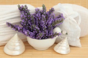 Uses for Lavender