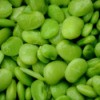 Fordhook Lima Beans