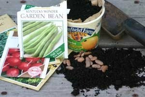 seeds, soil, and recycled yogurt container