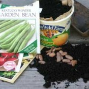 seeds, soil, and recycled yogurt container