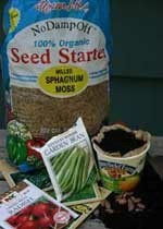 Sprouting Seeds