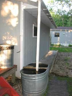 Downspout emptying into stock tank.