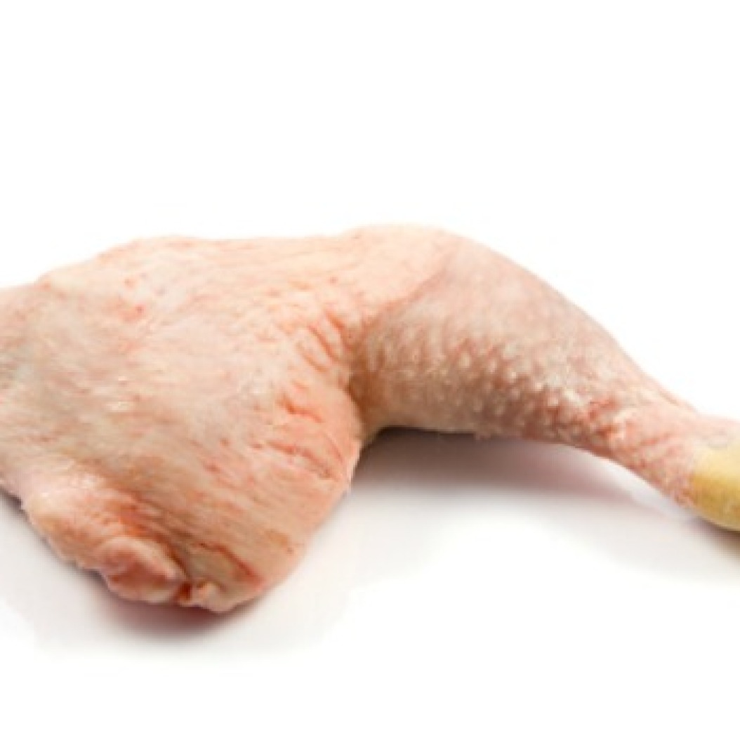 Feeding a Dog Chicken? ThriftyFun