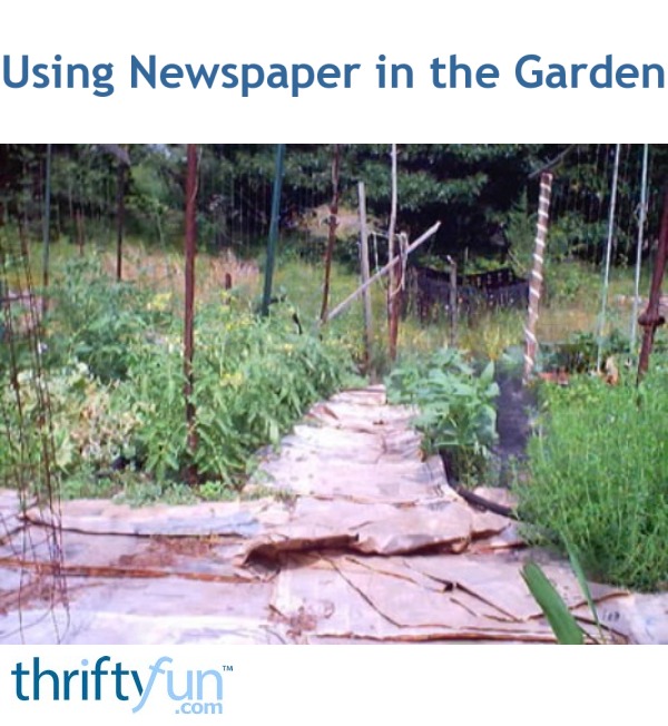 Using Newspaper in the Garden ThriftyFun