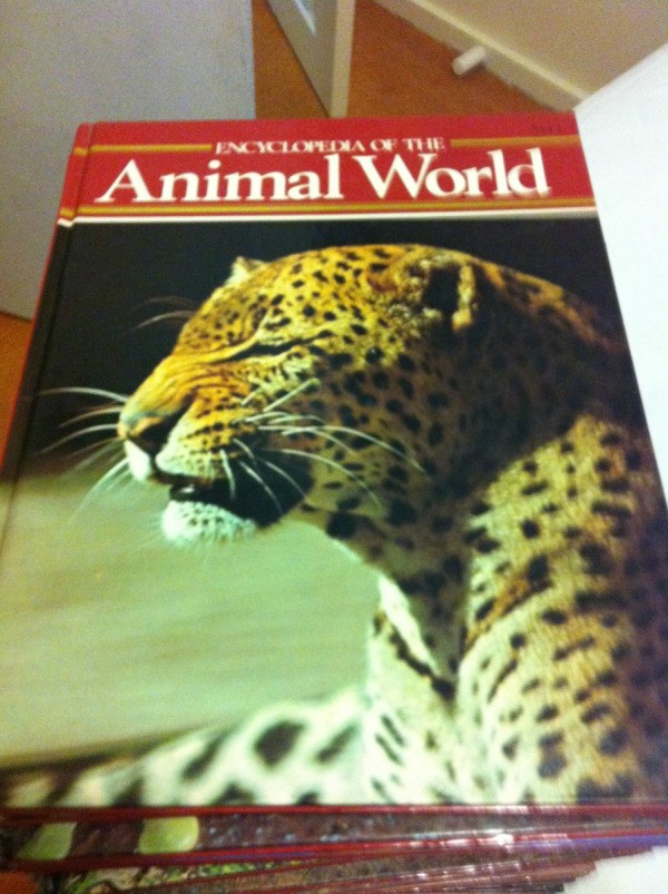 Cover of Animal World book.