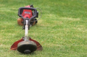 Weed Eater on Grass