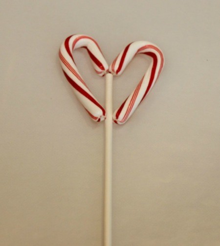 candy canes and stick