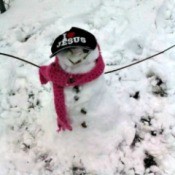 Snowman Wearing A Hat