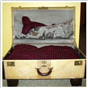 Suitcase Dog Bed