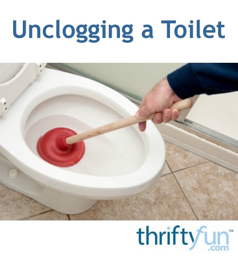 Unclogging A Toilet Fancy3 