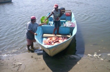 Fishing In Costa Rica