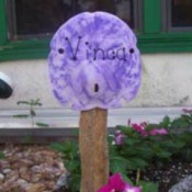 Sand Dollar Plant Markers