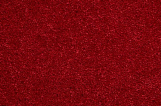 Painting Walls To Coordinate With Burgundy Carpet Thriftyfun