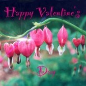 photo card with bleeding heart flowers