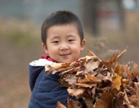A cute kid holding leaves.