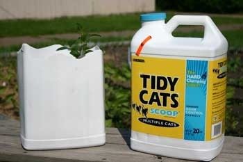 plastic cat litter container