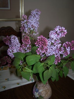 Spring Lilacs in the Ozarks