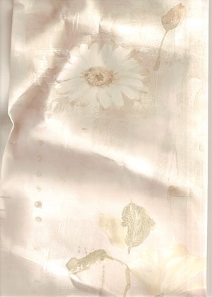 Carey Lind - Natural Presence