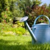 A Watering Can in Partial Shade