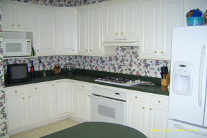 Kitchen Paint Color Advice For Dark Green Counter Tops Thriftyfun