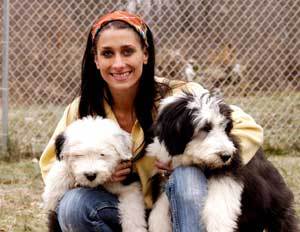 A woman with two English Sheepdogs.