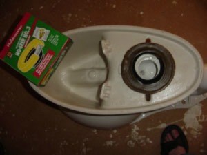 View of the underside of a toilet, including wax ring.