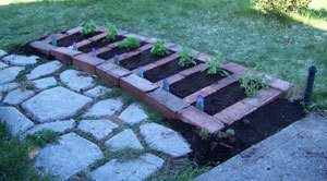 Herb garden next to pathway.