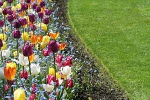 Keeping Grass From Growing In a Flower Bed