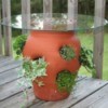Strawberry pot with a glass table top.