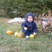 Kids and Pumpkins