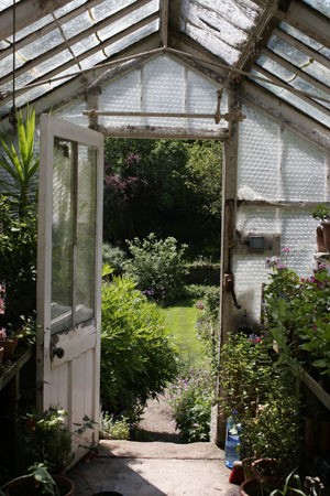 View from inside greenhouse out toward garden.