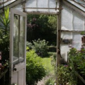 View from inside greenhouse out toward garden.