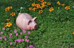 pink piggy bank in garden