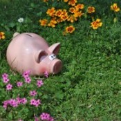 pink piggy bank in garden