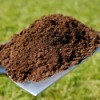Using Compost In The Garden