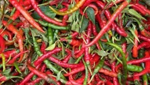 Closeup of Cayenne Peppers