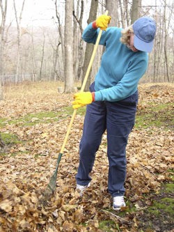 Gardening For Good Health