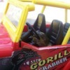 Frog driving small car