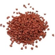 A pile of annatto seed on a white background.