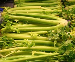 Freezing Celery