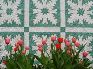 Spring Tulips and My Grandmother's Quilt