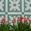 Spring Tulips and My Grandmother's Quilt