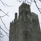Barryscourt Castle in Ireland