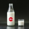 Avoiding Lactose, Milk with Stop Sign on Bottle