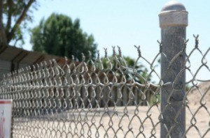 Galvanized Fence Posts