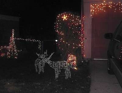 Lighted deer.