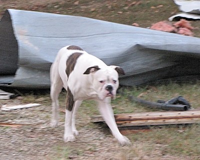 Gabe near grey tarp.