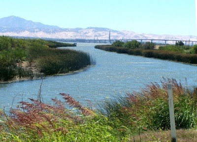 River at California Delta