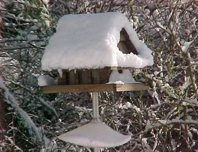 Closeup of snow covered birdfeeder.